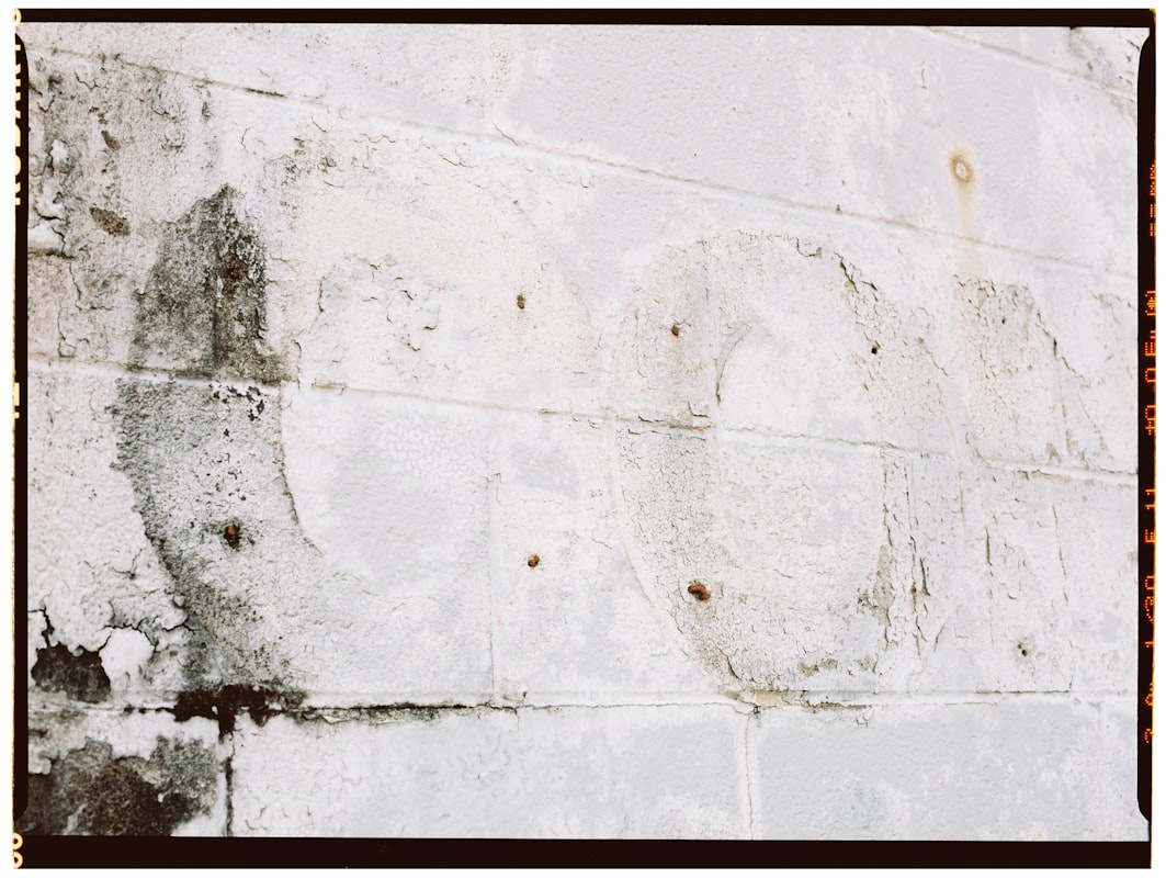 Water Extraction service in San Antonio, TX