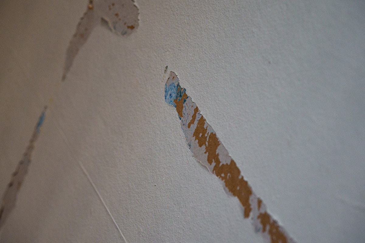 Mold Remediation service in San Antonio, TX